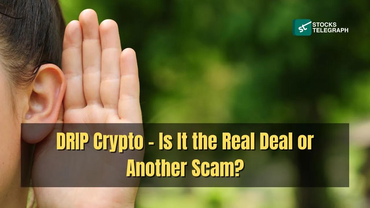 DRIP Network – Is It the Real Deal or Another Scam?
